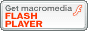 logo di Flash player