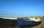 Natura e paesaggi in Toscana/Mare di Toscana/00000020.jpg