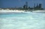 Natura e paesaggi in Toscana/Mare di Toscana/00000422.jpg